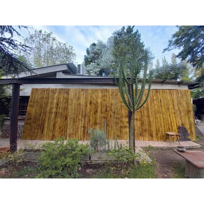 Cañas Bambu Tacuara Pergola Cerco Mejor Precio.